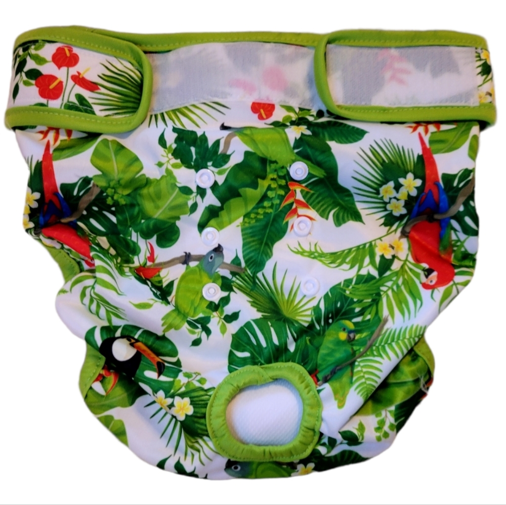 Host Pick 😀 Wegneeco Male Female  Dog Diaper Shield Shorts Washable